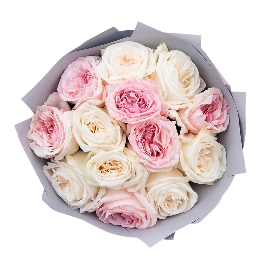 Букет из 13 ароматных белых и розовых садовых роз Вайт и Пинк О’Хара (02808)