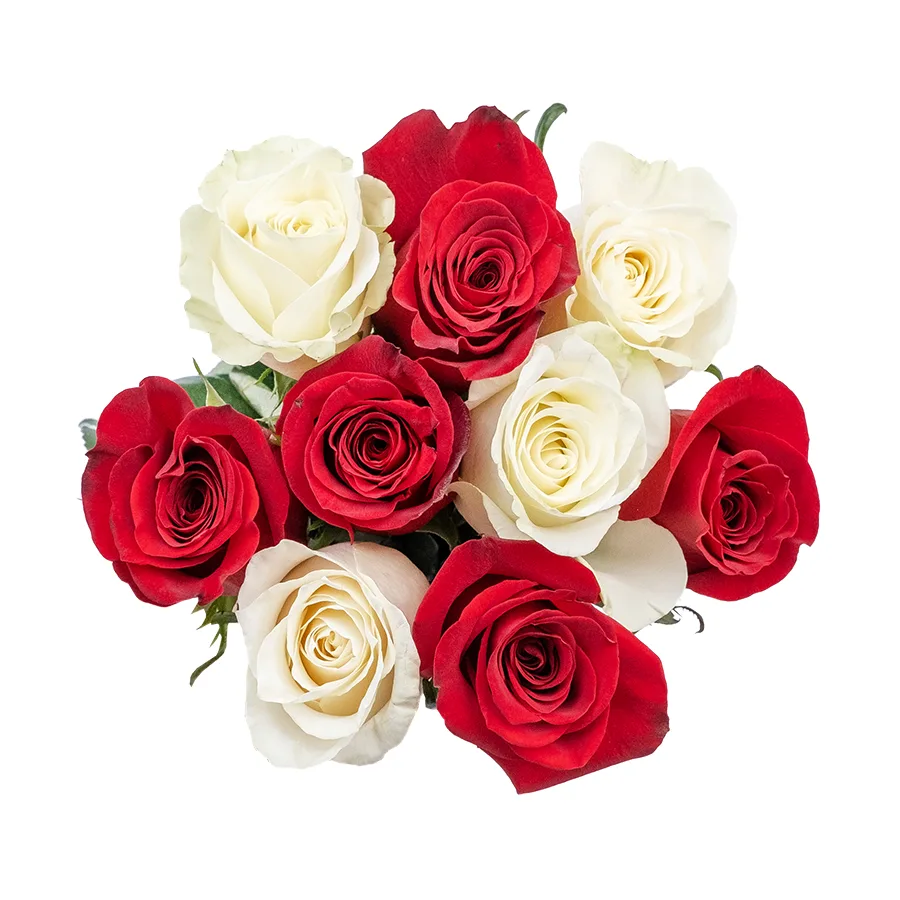 Букет из 9 красных и белых роз Фридом и Мондиаль (02223)