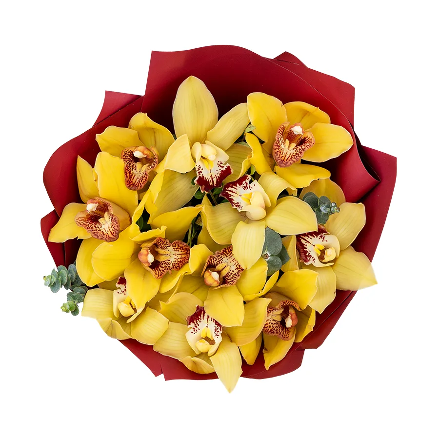 Букет из 11 желтых орхидей Цимбидиум (03071)