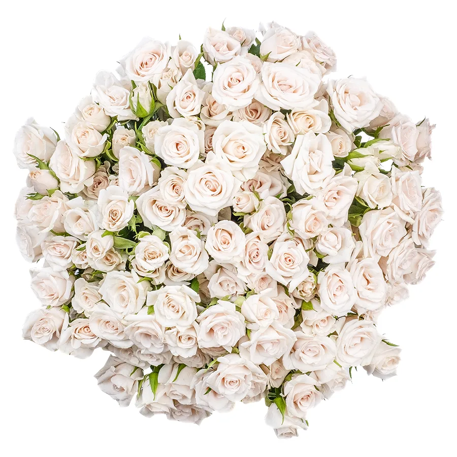 Букет из 27 бело-кремовых кустовых роз Роял Порцелина (02351)