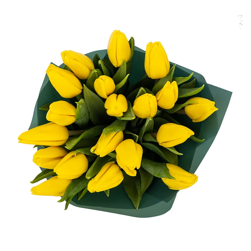 Букет из 19 желтых тюльпанов (01943)