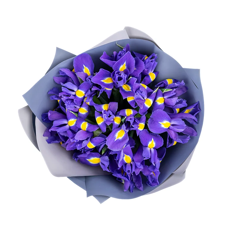 Букет из 17 фиолетово-синих ирисов Блю Мэйджик (01188)