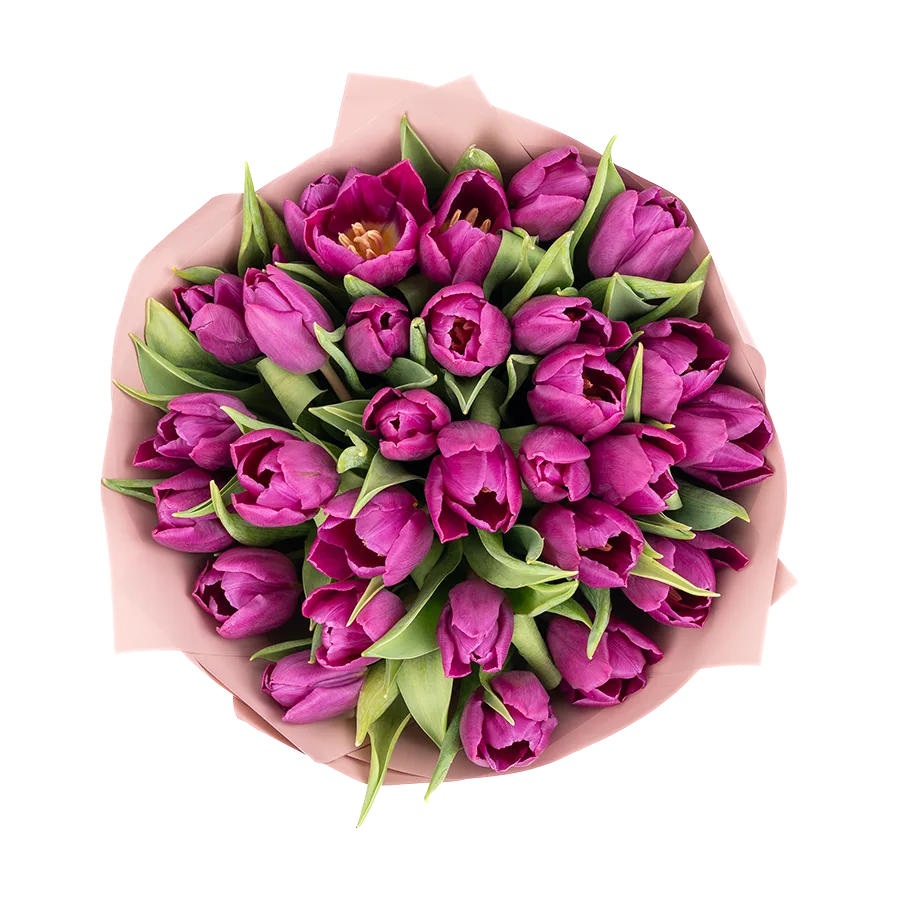 Букет из 25 фиолетовых тюльпанов (01924)