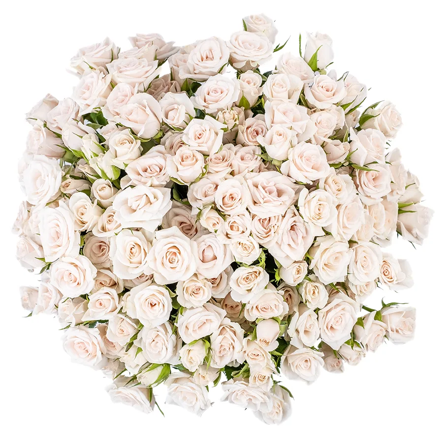 Букет из 29 бело-кремовых кустовых роз Роял Порцелина (02350)
