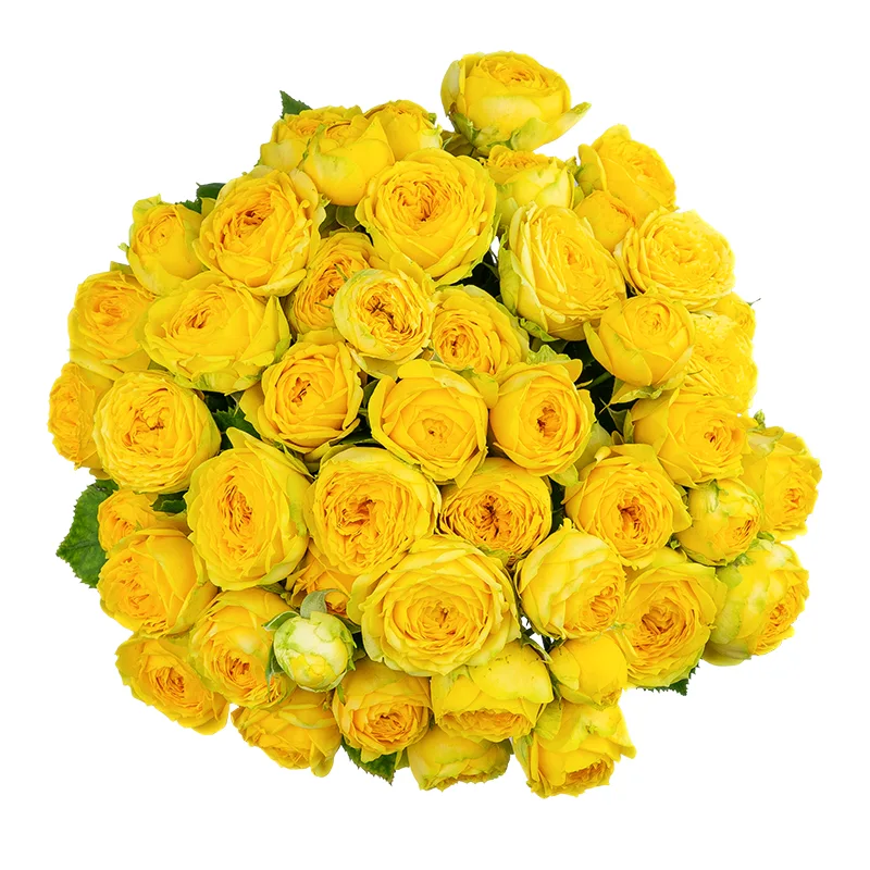 Букет из 21 жёлтых кустовых пионовидных роз Луна Трендсеттер (01699)