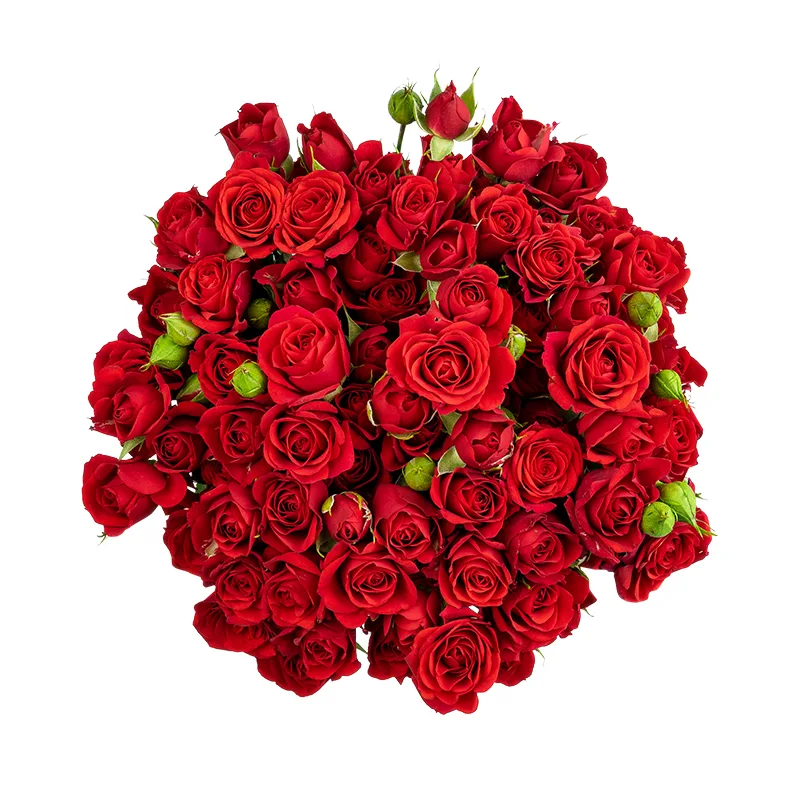 Букет из 17 красных кустовых роз Мирабель (01731)