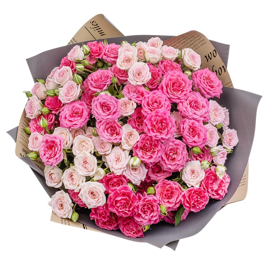 Букет из 13 розовых и малиновых кустовых роз Креми Твистер и Лиана (02491)
