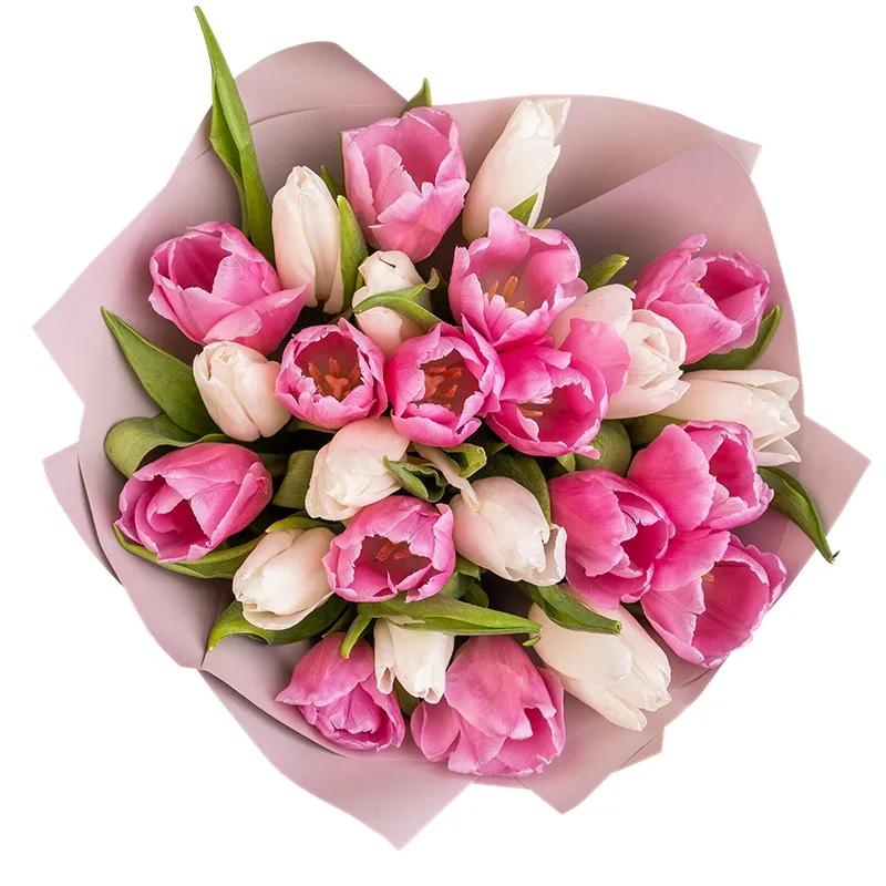 Букет из 25 белых и розовых тюльпанов (02035)
