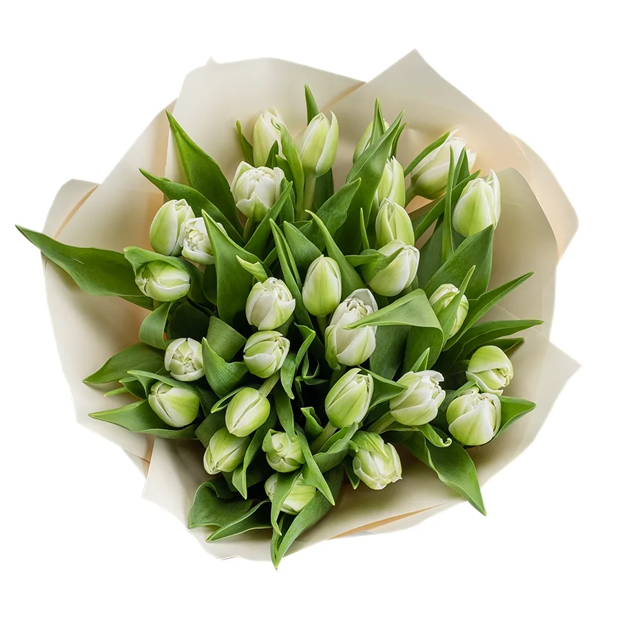 Букет из 27 белых махровых тюльпанов Вайт Херт (02460)