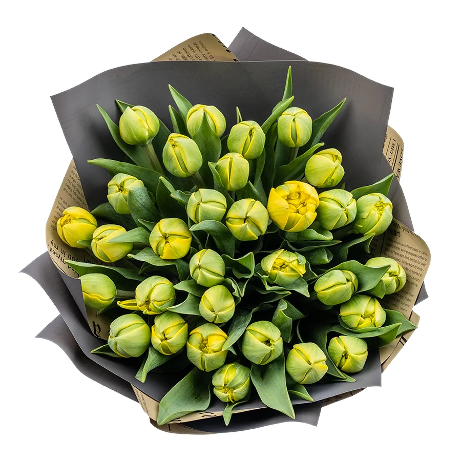 Букет из 31 желтых махровых тюльпанов Йелоу Помпонет (02441)