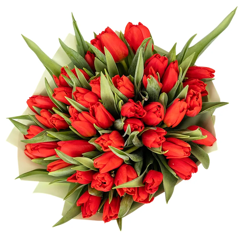 Букет из 47 красных тюльпанов (01881)