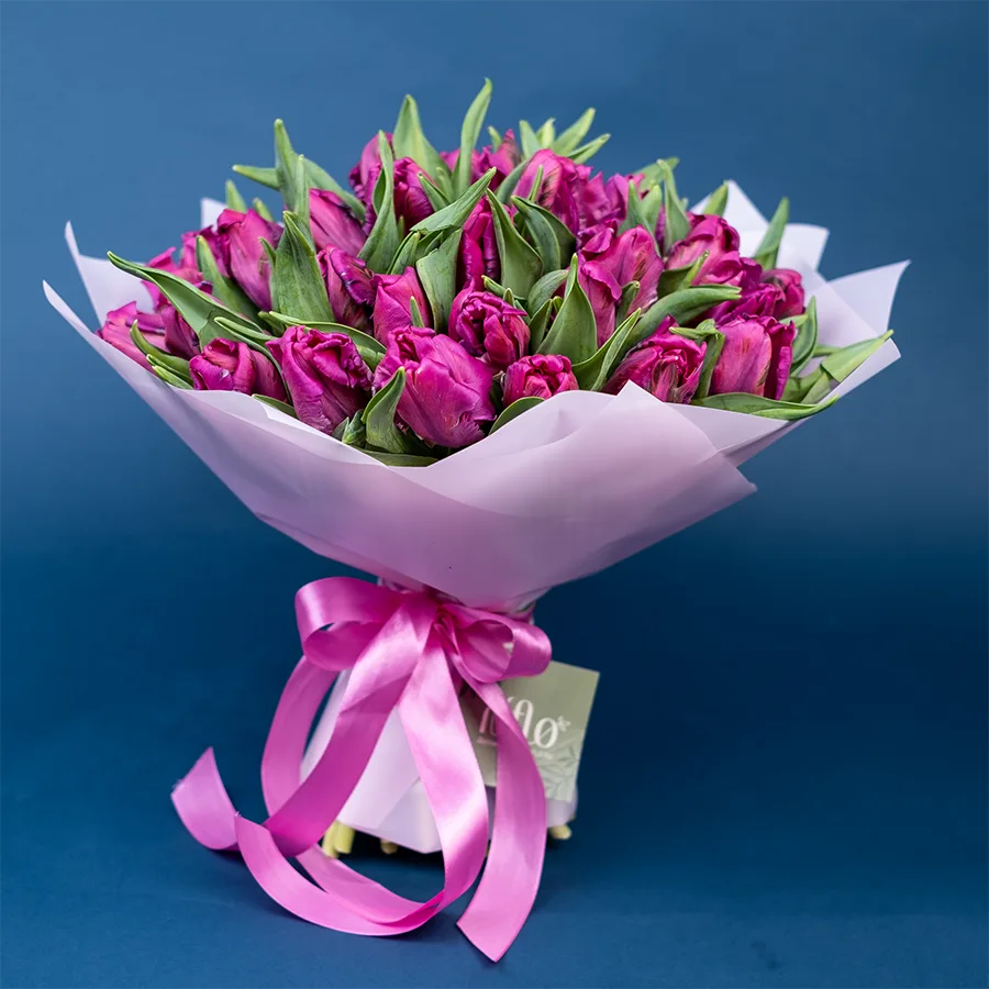 Букет из 35 фиолетовых попугайных тюльпанов Принц Пэррот (02179)
