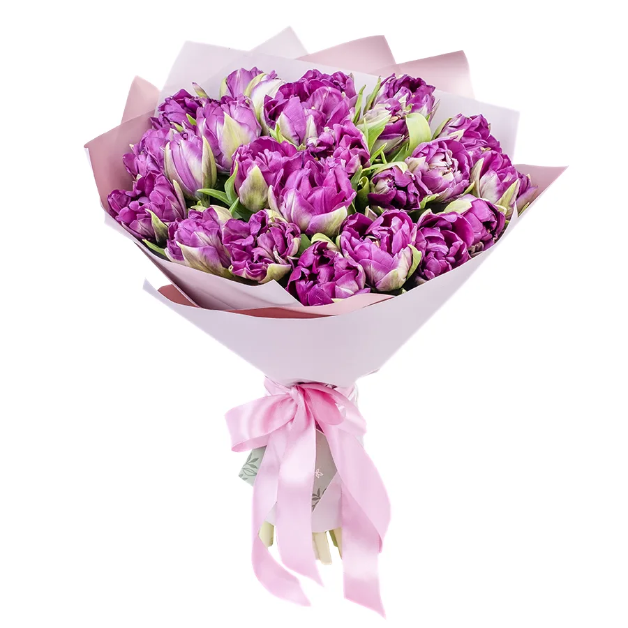 Букет из 25 фиолетовых пионовидных тюльпанов Пурпл Пеони (02322)