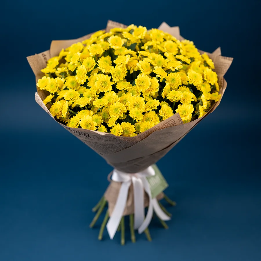 Букет из 25 желтых кустовых хризантем Сантини Сан Ап Санни (02852)