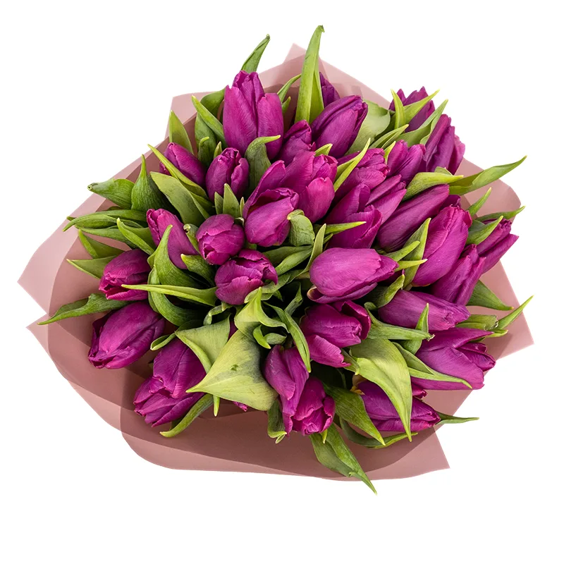Букет из 33 фиолетовых тюльпанов (01920)