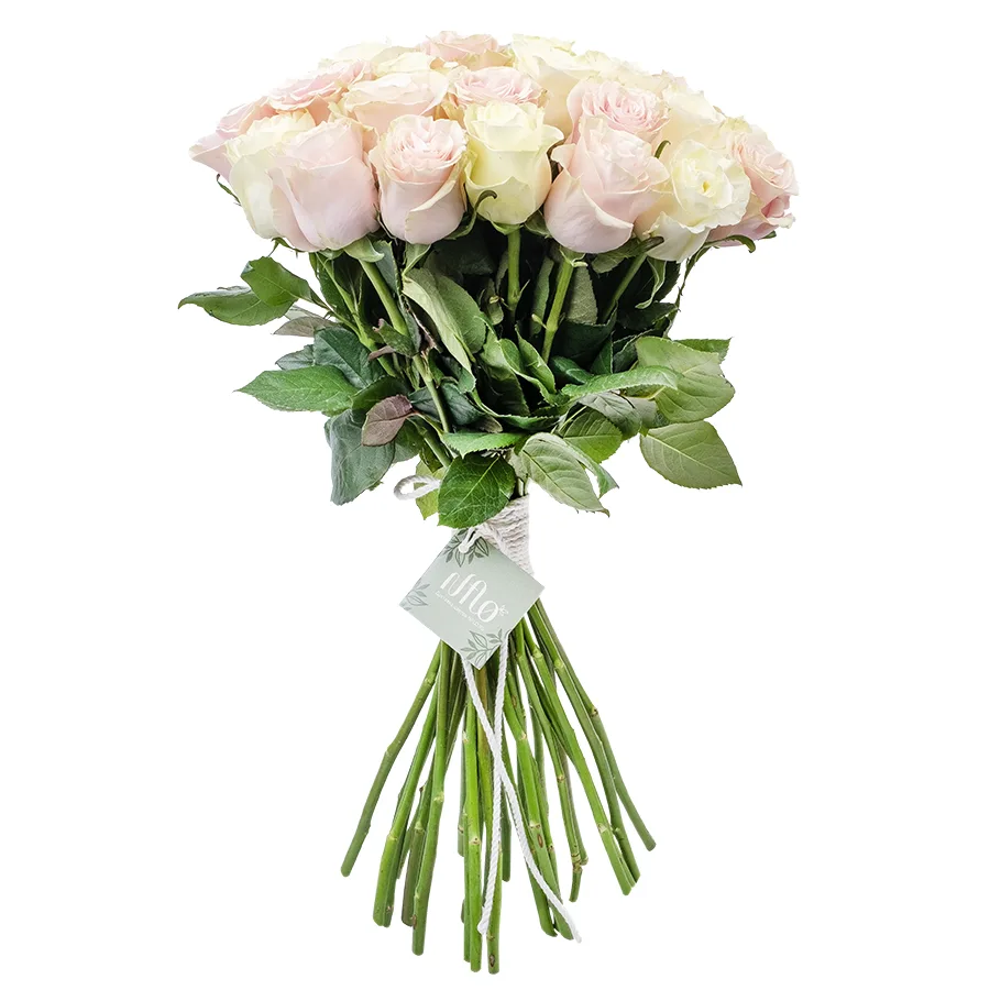 Букет из 29 белых и розовых роз Мондиаль и Пинк Мондиаль (02226)