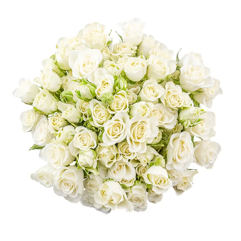 Букет из 19 белых кустовых роз Сноуфлейк (02126)