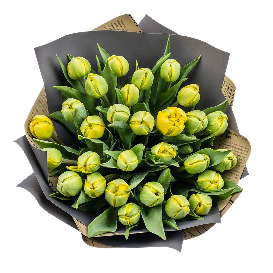 Букет из 29 желтых махровых тюльпанов Йелоу Помпонет (02442)