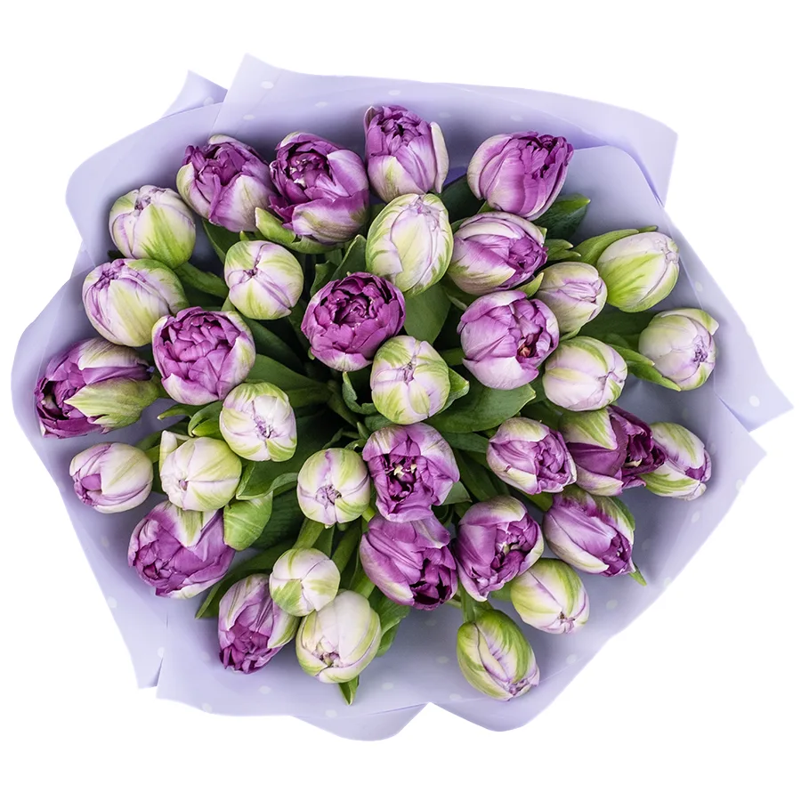 Букет из 35 фиолетовых махровых тюльпанов Сайгон (02385)