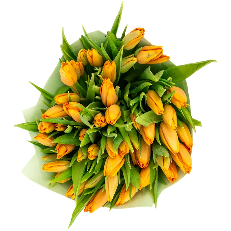 Букет из 47 оранжевых тюльпанов (01961)