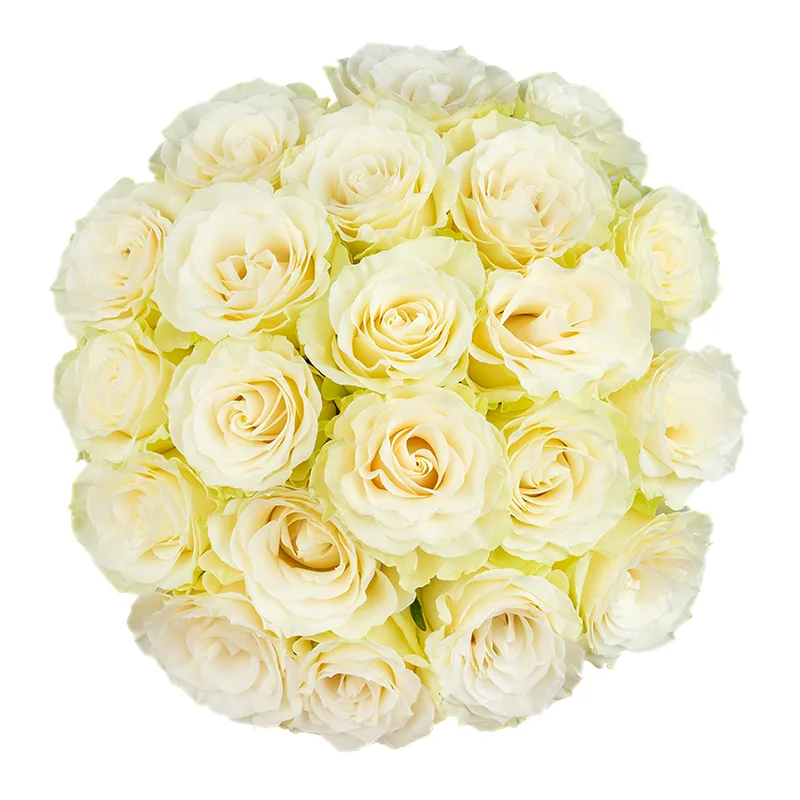 Букет из 21 белой розы Мондиаль (01599)