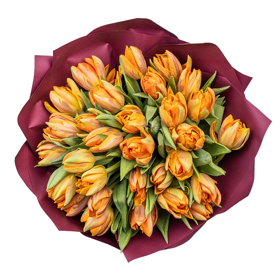 Букет из 29 оранжевых махровых тюльпанов Оранж Принцесс (02245)