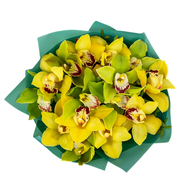 Букет из 15 зелёных и жёлтых орхидей Цимбидиум (01191)