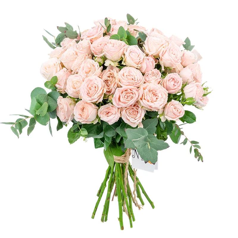Букет из 17 розовых кустовых роз Бомбастик (01246)