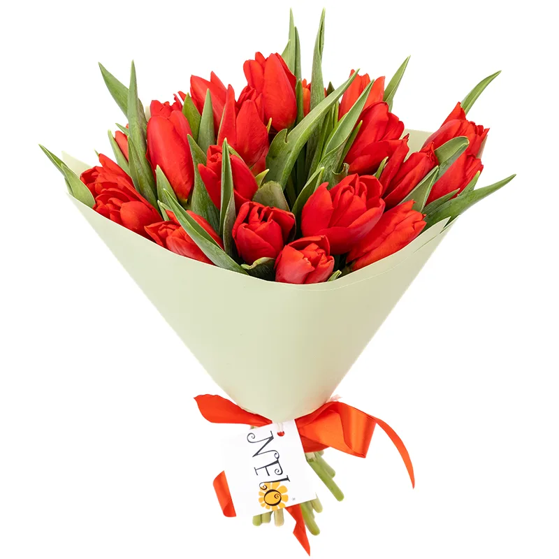Букет из 23 красных тюльпанов (01893)