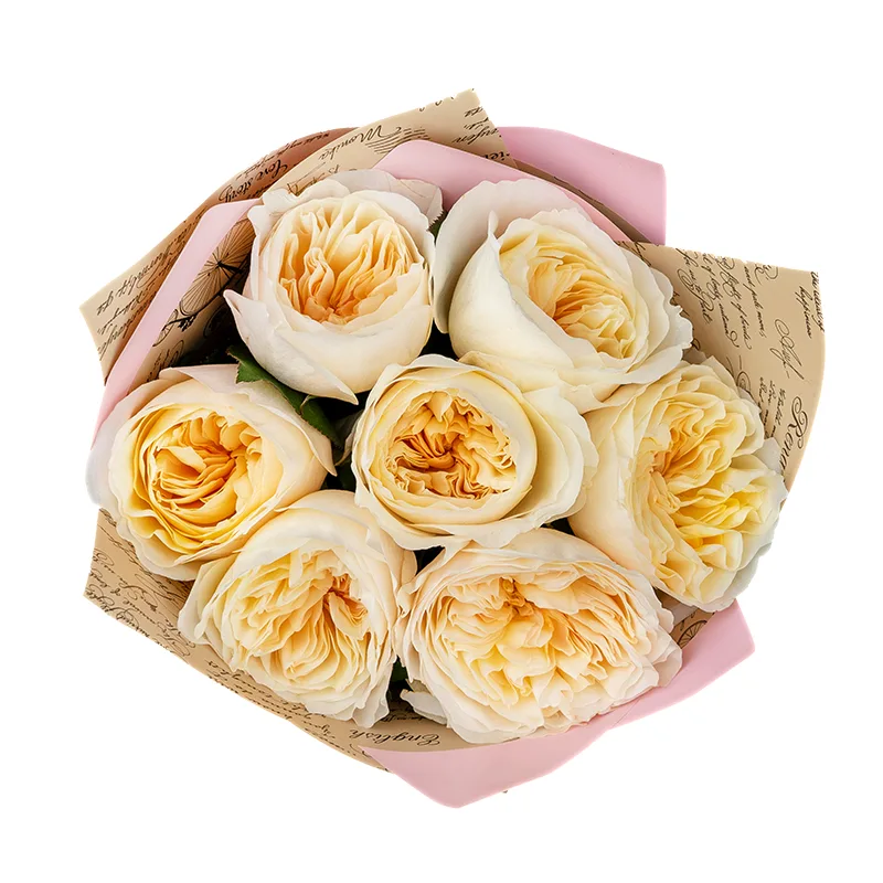 Букет из 7 бело-кремовых садовых роз Дэвида Остина Бесси (01381)