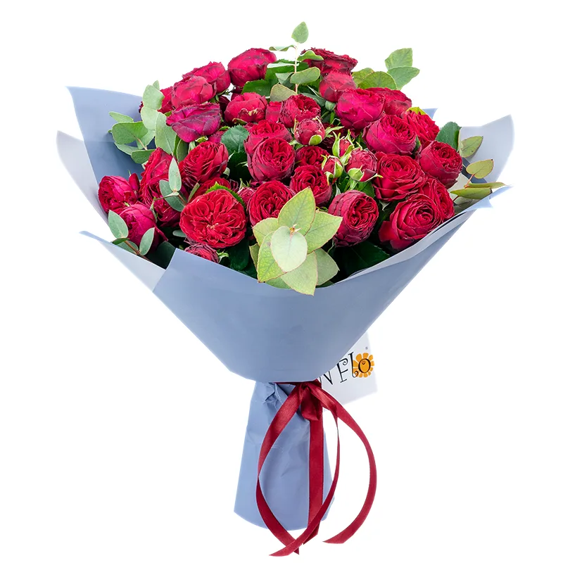 Букет из 21 бордовой кустовой пионовидной розы Марун (01304)