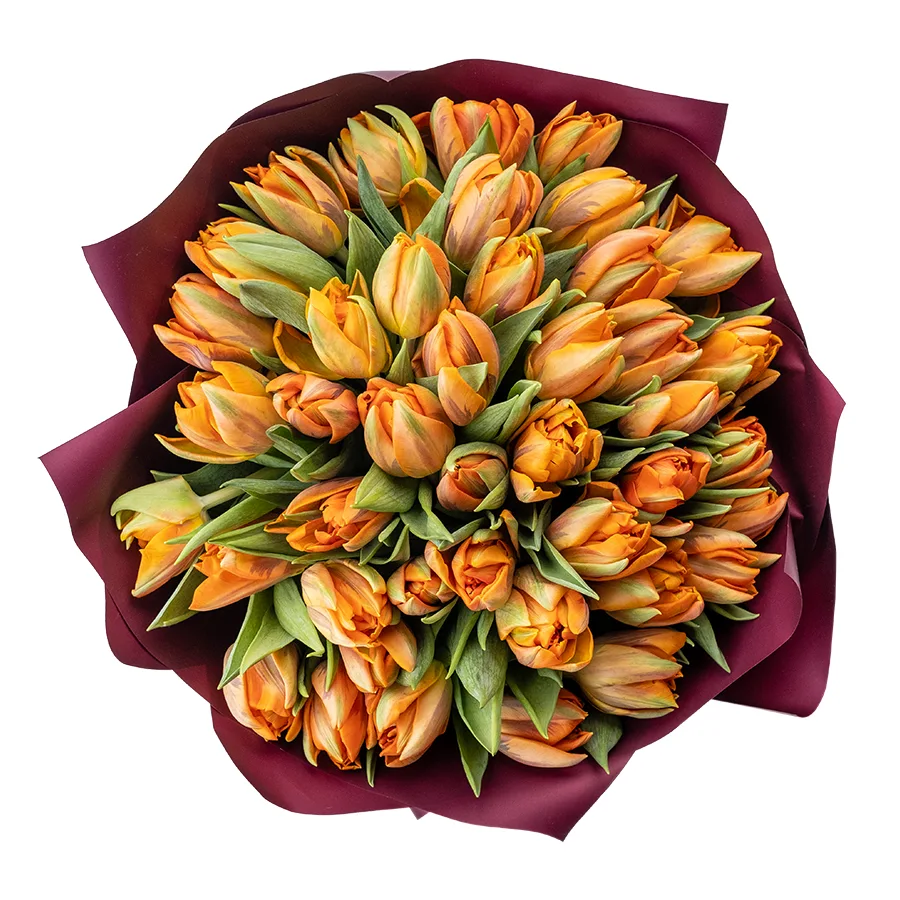 Букет из 41 оранжевого махрового тюльпана Оранж Принцесс (02239)