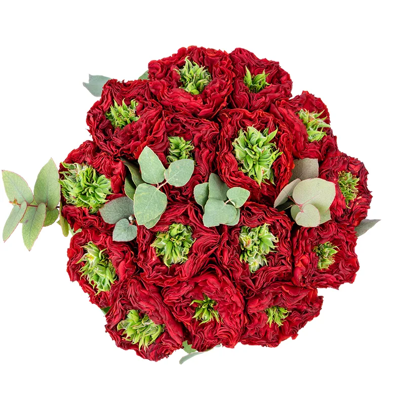 Букет из 15 красных с зеленым роз Ред Ай (01312)