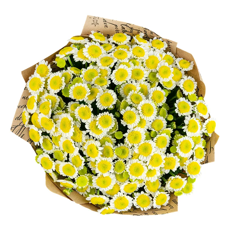 Букет из 17 бело-жёлтых кустовых хризантем Сантини Сан Ап (01543)