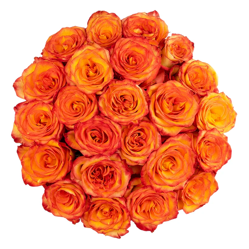 Букет из 23 оранжево-красных роз Хай Мэйджик (01608)