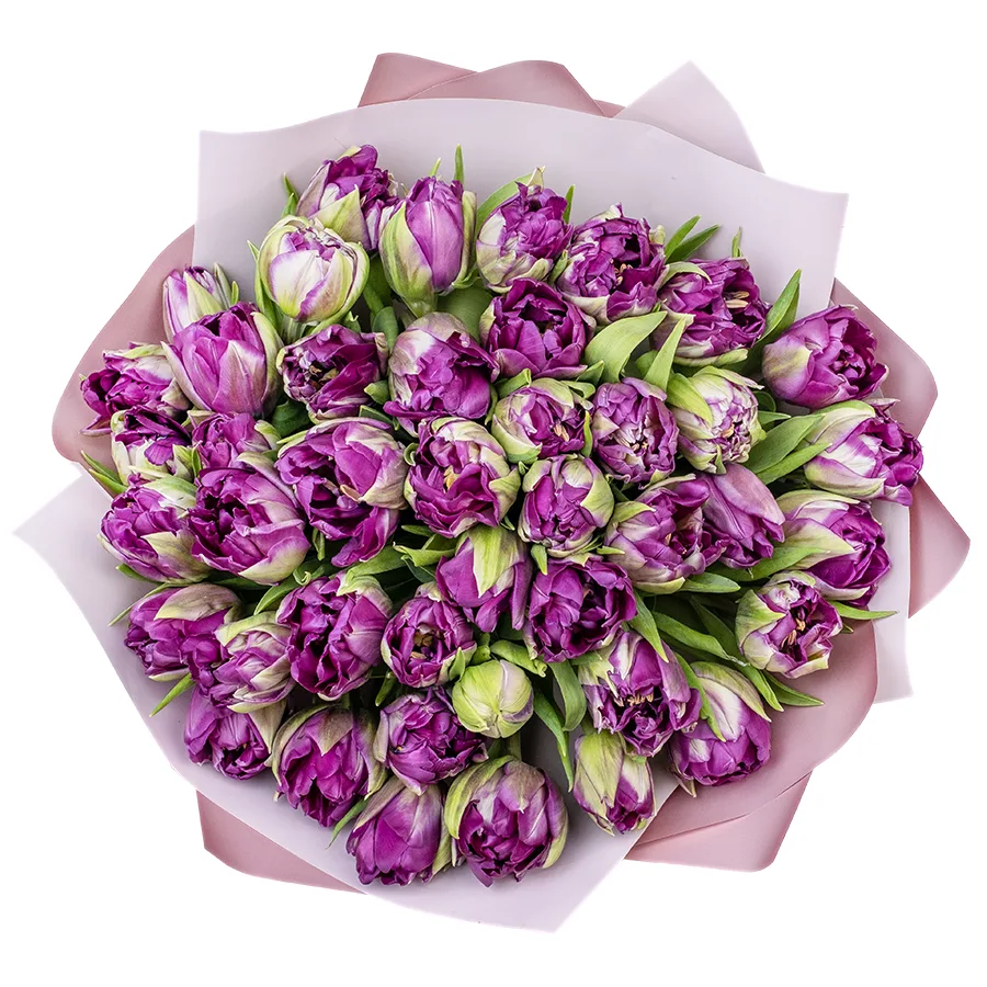 Букет из 41 фиолетового пионовидного тюльпана Пурпл Пеони (02314)