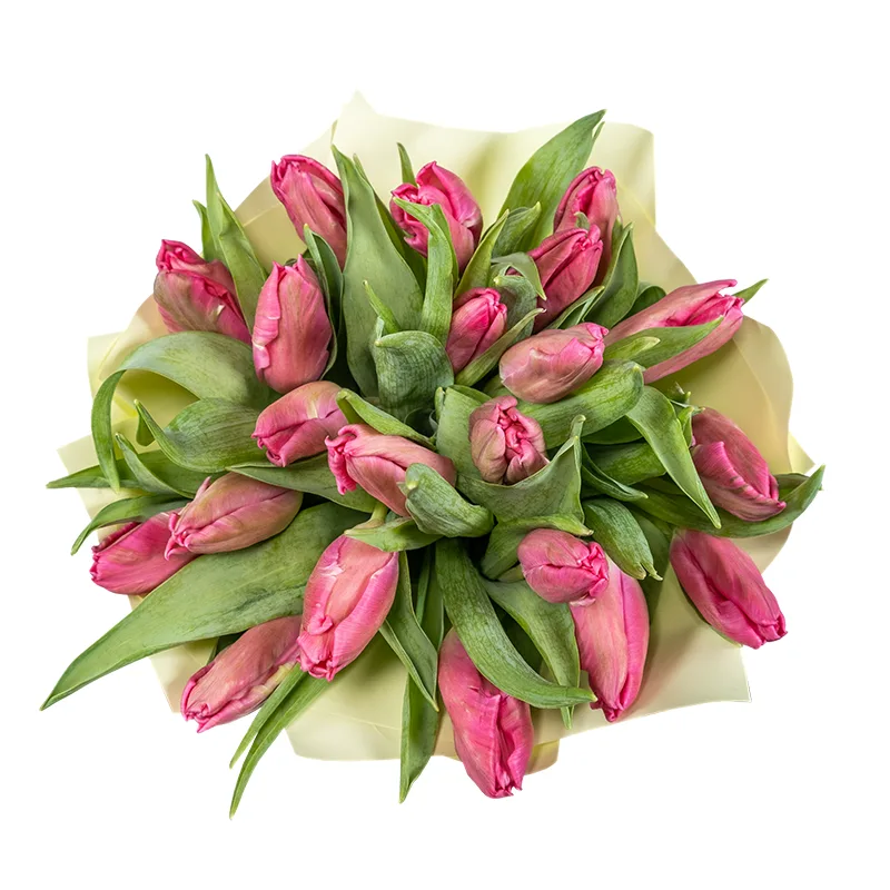 Букет из 21 розового попугайного тюльпана Марвел Пэррот (02068)