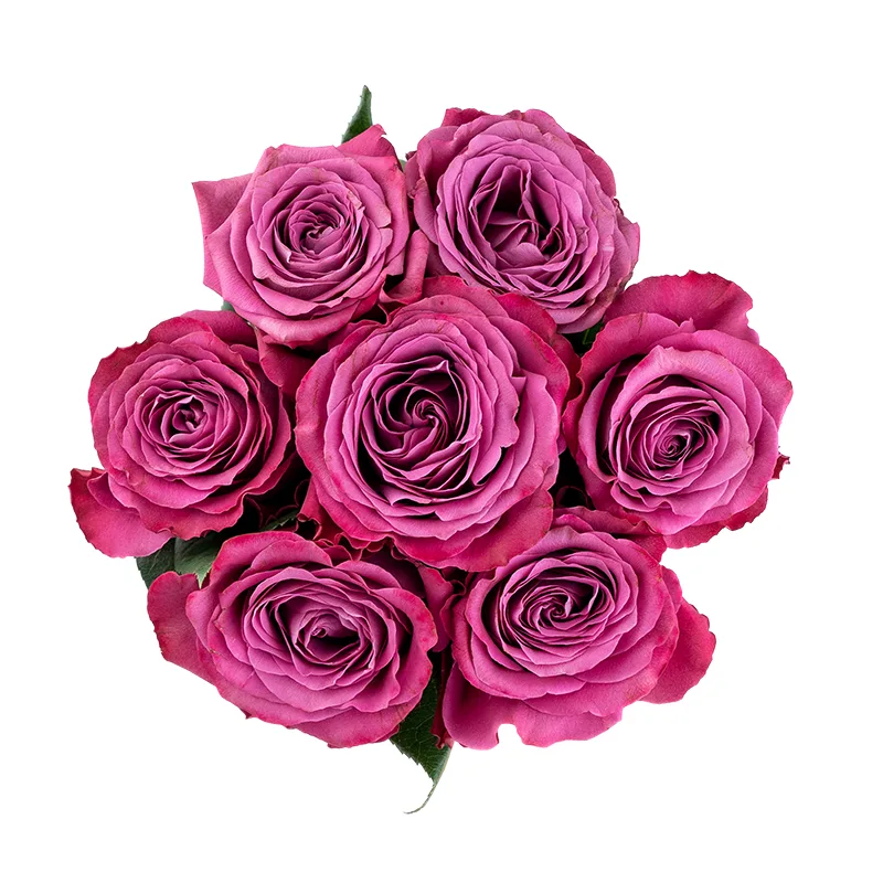 Букет из 7 фиолетовых садовых роз Прешиус Моментс (01827)