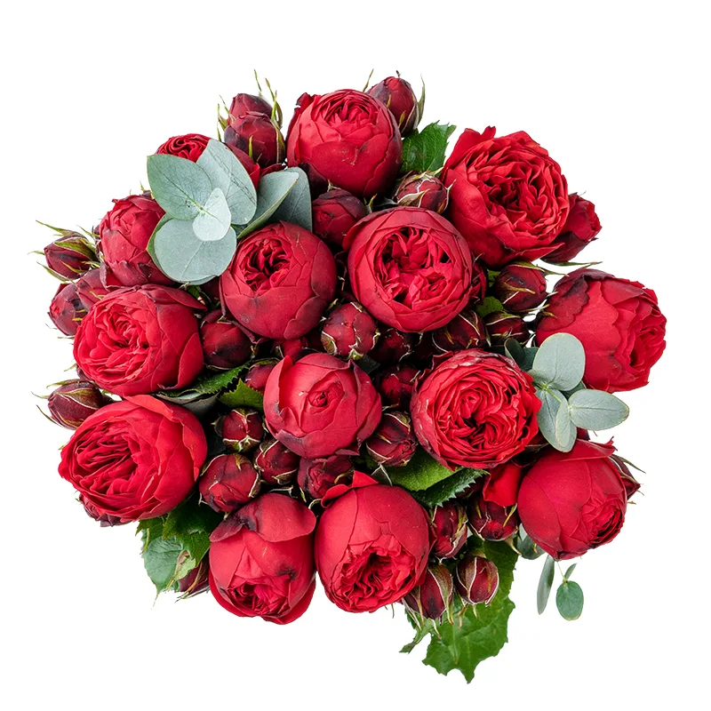 Букет из 13 красных пионовидных роз Пиано (01361)