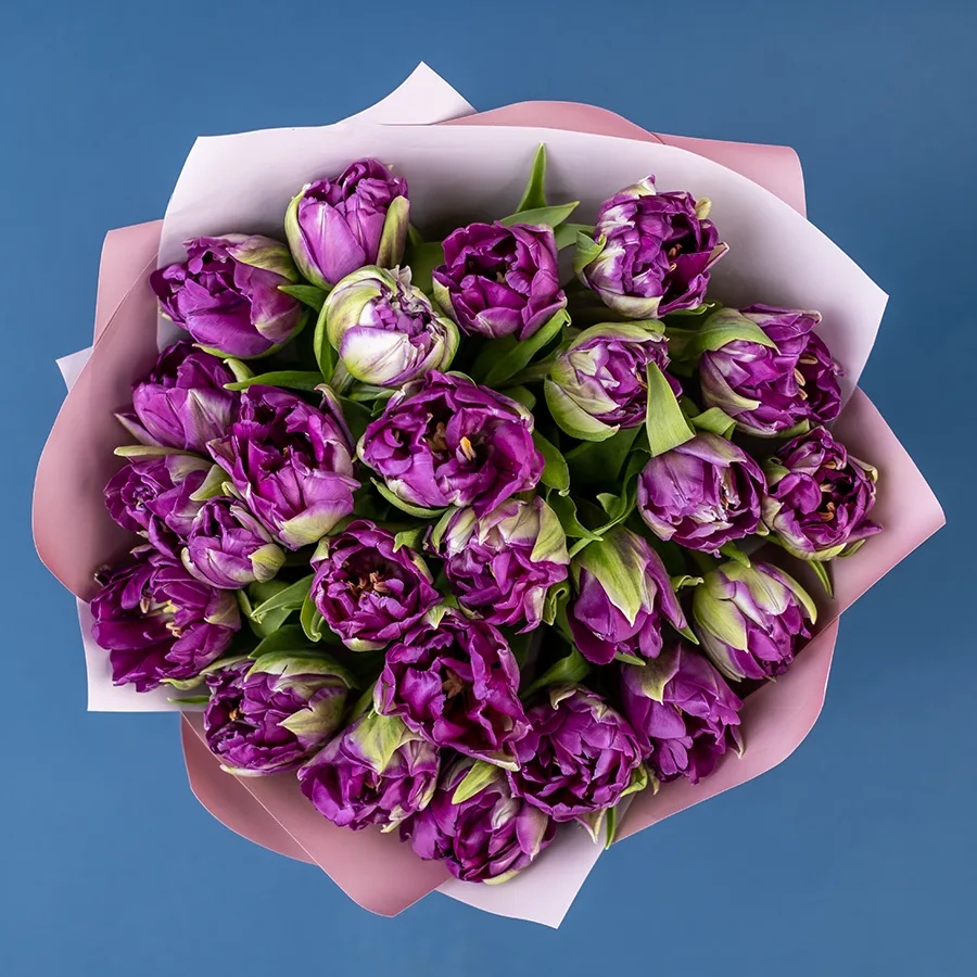 Букет из 25 фиолетовых пионовидных тюльпанов Пурпл Пеони (02322)