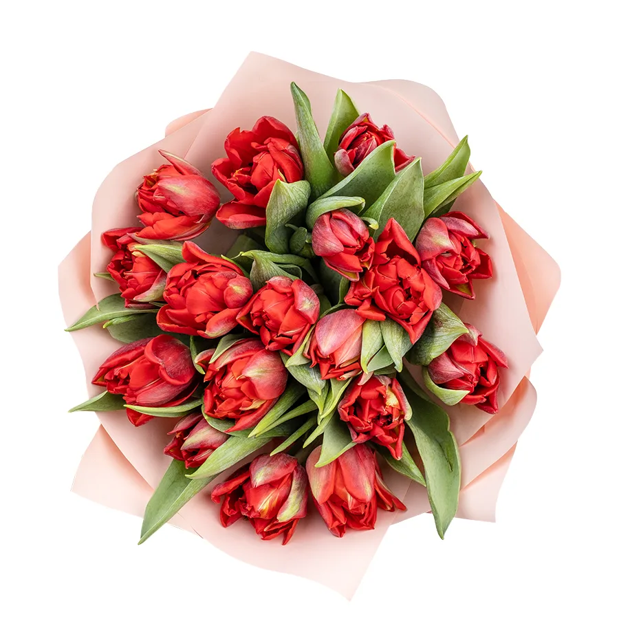 Букет из 17 красных махровых тюльпанов Ред Принцесс (02267)