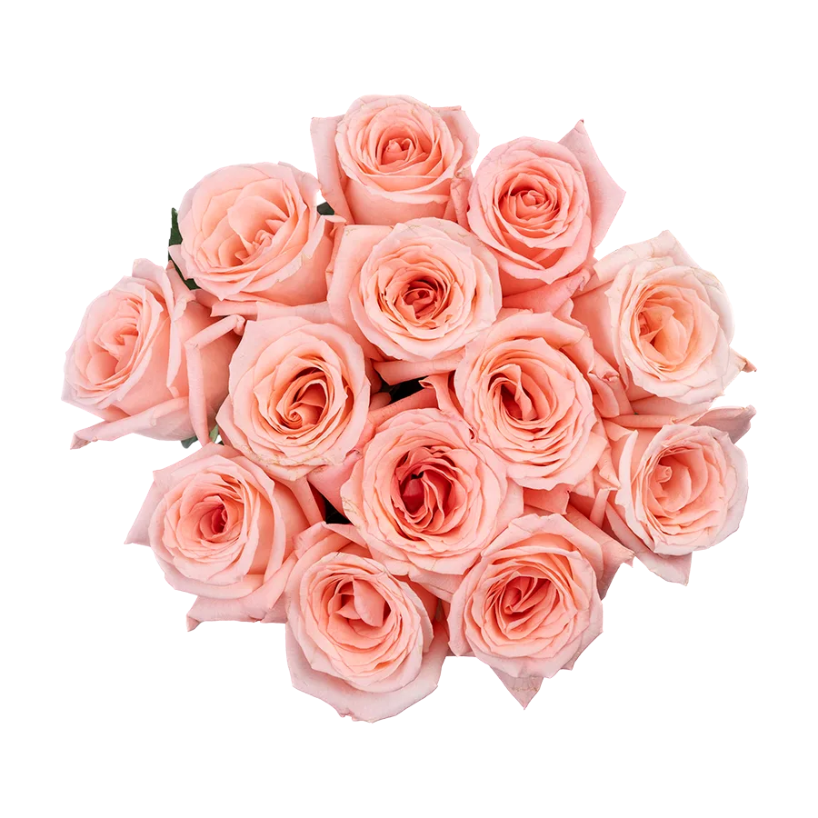 Букет из 13 светло-розовых роз Энгейджмент (03852)