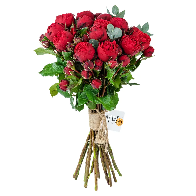 Букет из 15 красных кустовых пионовидных роз Пиано (01360)