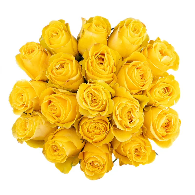 Букет из 19 жёлтых роз Брайтон (01818)
