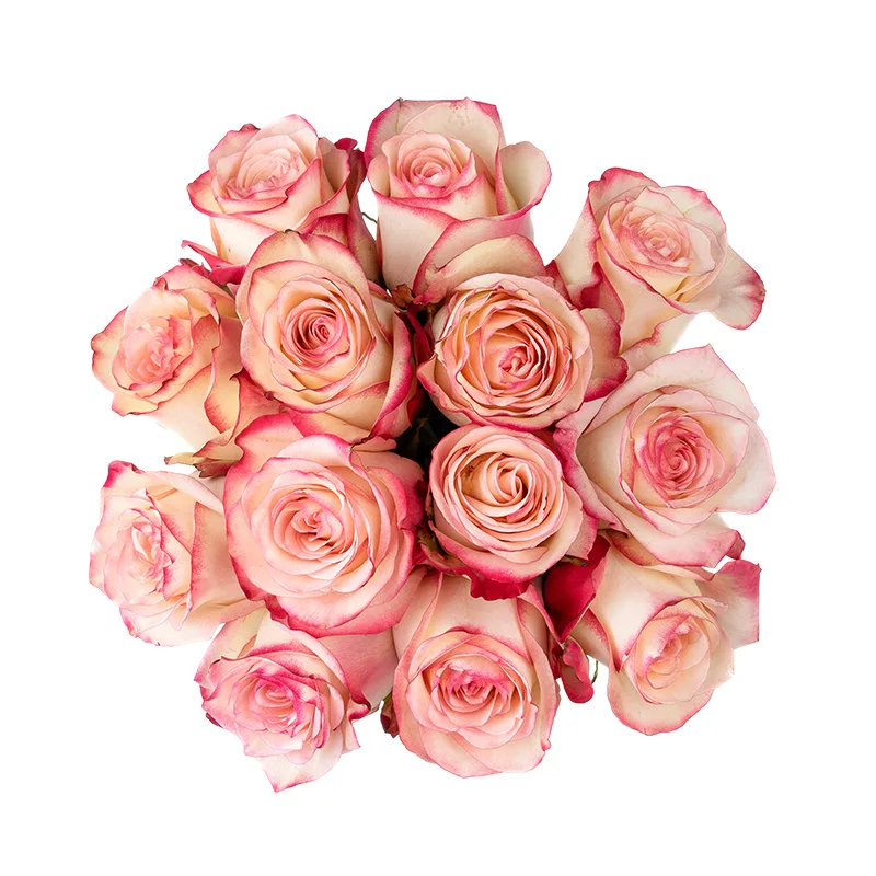 Букет из 13 кремовых с красными краями роз Свитнес (01371)