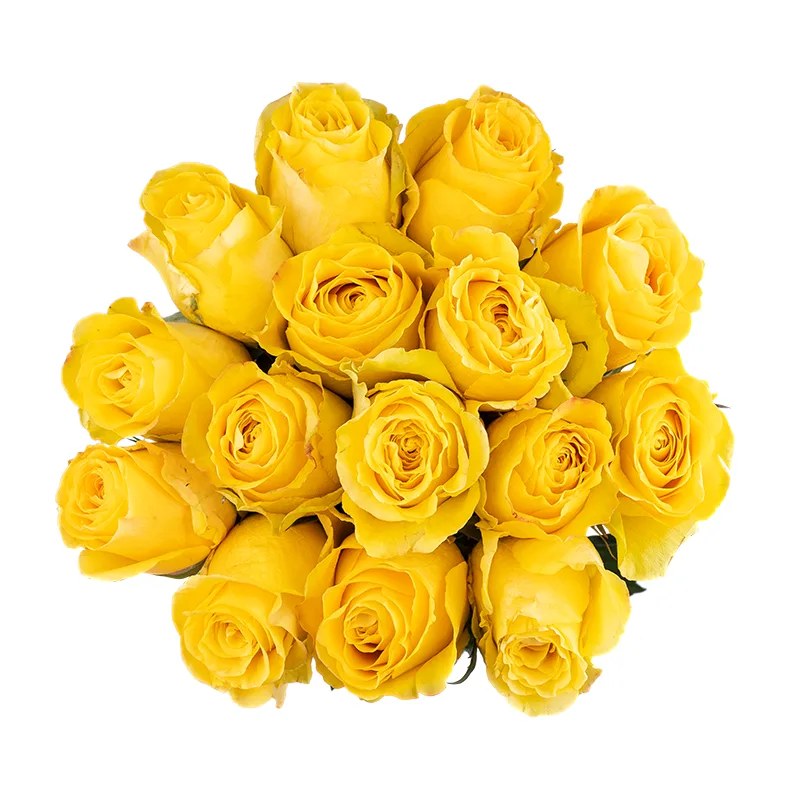 Букет из 15 жёлтых роз Брайтон (01820)