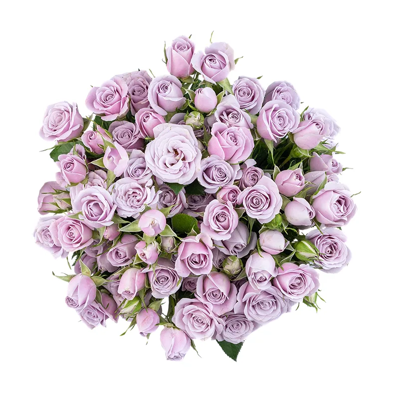 Букет из 15 нежно-сиреневых кустовых роз Сильвер Шадоу (01851)