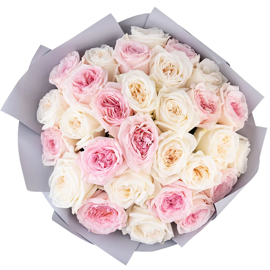 Букет из 29 ароматных белых и розовых садовых роз Вайт и Пинк О’Хара (02800)