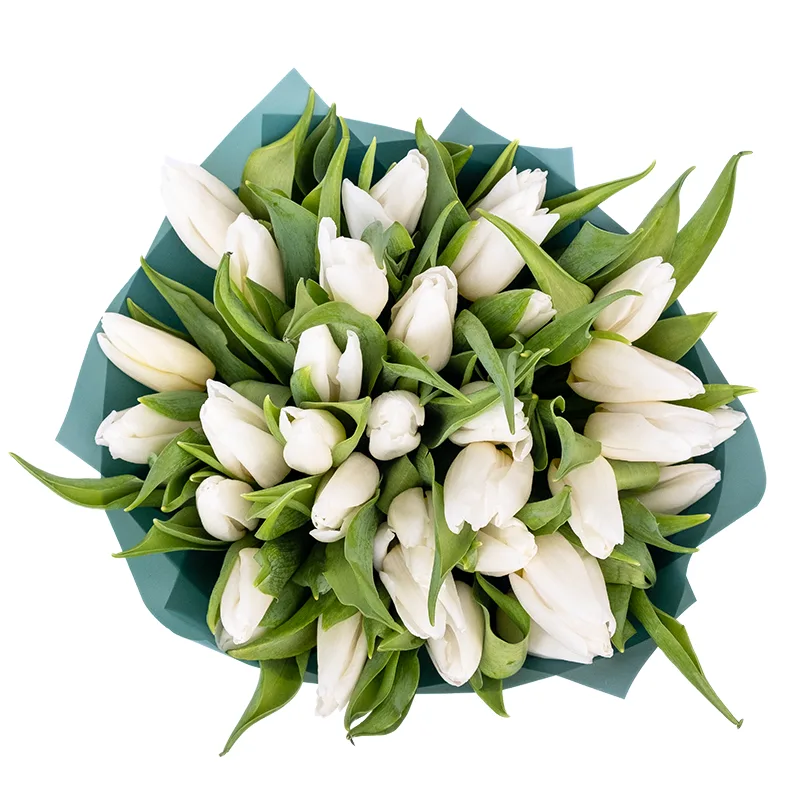 Букет из 33 белых тюльпанов (01904)