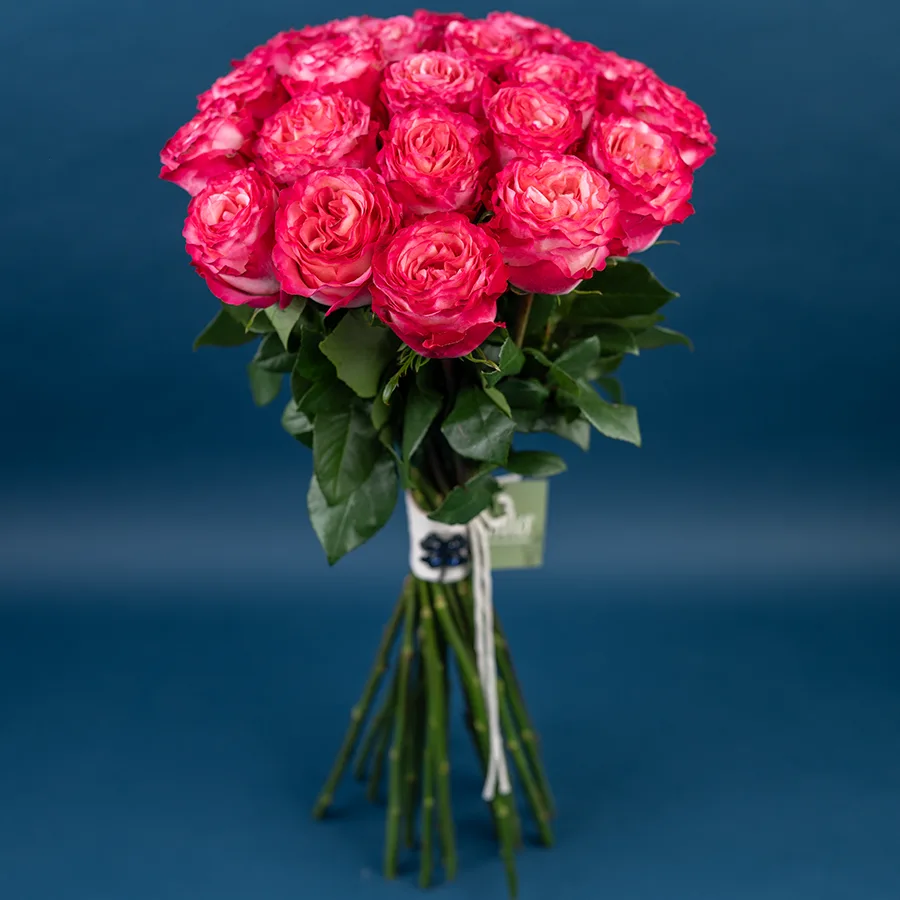 Букет из 21 ярко-малиновой розы Энчентмент (03857)